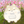 凪✦Nagi