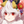 椎志 二十香（しいし はつか）