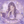 みらい｜結婚専門