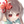 くらはち楸