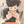 bun_eiyousodan