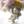 ＭＩＯＮ