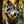wolfy55