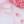 桜川おぺと（words認定占い師）