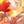 芙羽ᑎ ᑎ