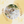 SummerLanguageStudio