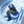 雪符しき