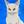 NEKO NEE（猫姉）