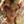 ルミフラワー鑑定☆YURICA