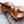 nikonikoviolon