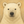 シロクマママの人生相談室