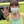 京山凛子