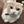 noah_neko