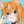 猫耳にゃん