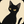 Noxcat_lab