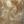 Coutume｜くらしと印象