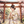 祈乃めぐ｜神社代理参拝・祈願専門