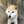 せんえつリョウ
