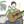 guitar_norio