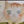 しましまねここ