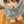 にくじゃがさん