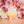 SUZUKIA0525