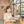 Mdesignstudio