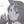 ｡レイ