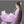 愛梛☆aina