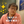 塚田光義