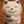 占いバーテンダー⭐︎Robhal