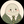 平社員あざらし＠3ヶ月合格の不動産屋