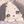 おーもこ