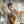 Hossan_83