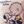 CharlieBrown