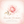Bloom Memory