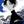 天知ハルカ