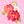 花音_kanon_ 霊感タロット占い師