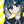四ノ宮design