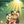癒し堂　みづきさん