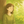 結城ことは｜3千人の人生を整えた縁側相談