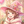 さくらんぼ✿
