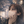 ☆一条さくら☆