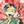 Jpit＿Koo