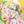 Kirara☆きらら