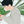 ishii637u