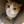 りーちゃん先生
