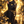 spirituaCardreader黒猫