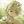 ことり ＊ 希乃ことり