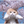 写真撮影・レタッチ屋さん・たまに動画
